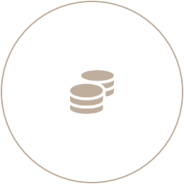Coins icon