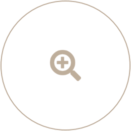 Zoom icon